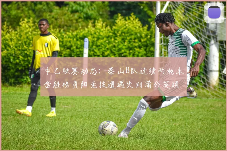 中乙联赛动态：泰山B队连续两轮未尝胜绩贵阳竞技遭遇失利蒲公英顽强战平